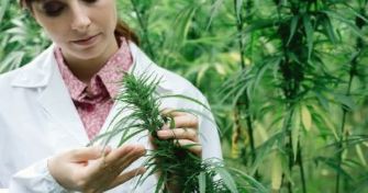 Medizinisches Cannabis: So wirken die Hanf-Medikamente | apomio Gesundheitsblog