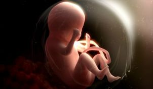Do's und Dont's während der Schwangerschaft | apomio Gesundheitsblog