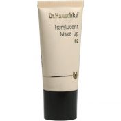 Dr.Hauschka Translucent Make Up 02 Tube