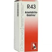 Arsetabilis-Gastreu R43