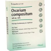 Ovarium compositum Ampullen ad us. vet.