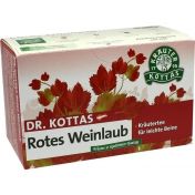 DR. KOTTAS Rotes Weinlaub mit Pfefferminze Fbtl.