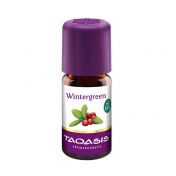 Wintergreen Bio Öl