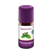 Spearmint Bio