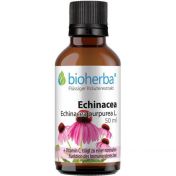 Echinacea günstig im Preisvergleich