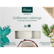 Kneipp DUFTWELTEN Duftkerzen Lieblinge