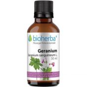 GERANIUM Geranium sanguineum L.