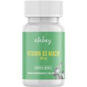 Vitamin B3 Niacin 500 mg Flush free vegan günstig im Preisvergleich