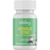 Astragalus Extrakt 1600 mg mit 10% Astragalosiden