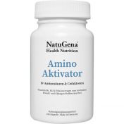 AminoAktivator Aminosäuren + Vitamin B6 + B9 + B12 günstig im Preisvergleich