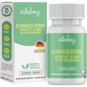 Astragalus Extrakt 10.000 mg hochdosiert