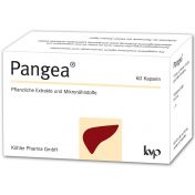 Pangea günstig im Preisvergleich