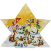 H&S Adventskalender Stern