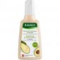 RAUSCH Farbschutz-Shampoo mit Avocado im Preisvergleich