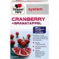 Doppelherz Cranberry + Granatapfel system im Preisvergleich