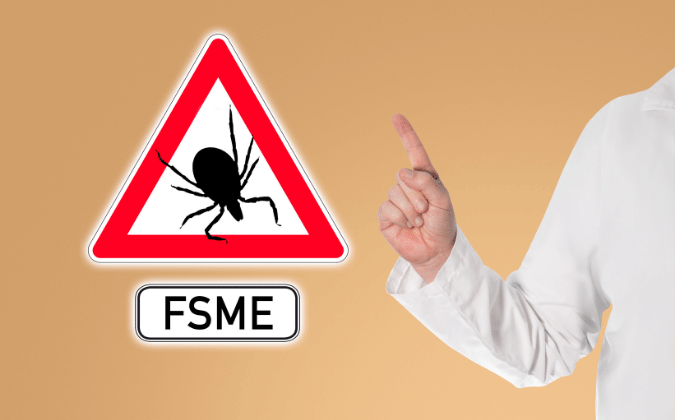FSME: Auslöser, Übertragungsweg, Symptome, Therapie und Impfung